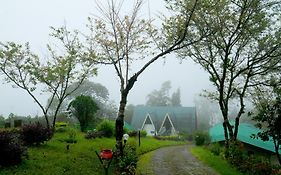 Camelot Resort-A Boutique Escape In The Munnar Hills